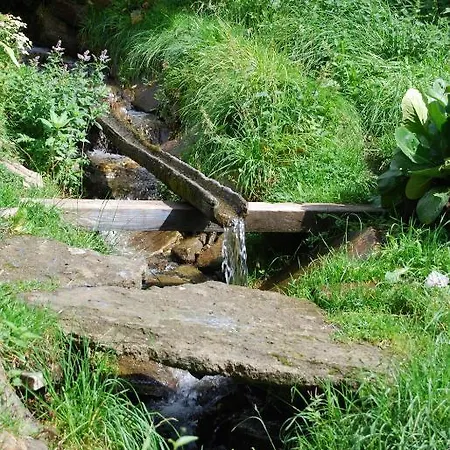 Apartamento Haus Benedikt