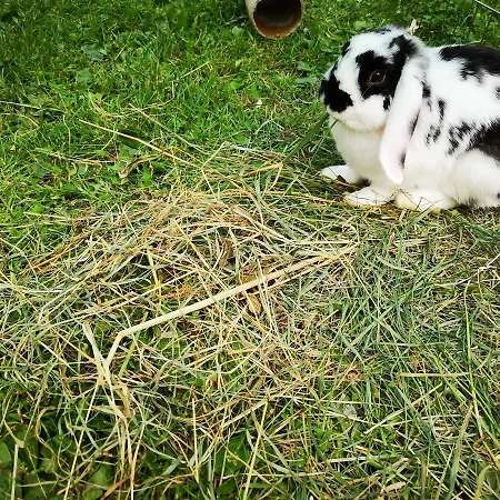 Appartamento Haus Benedikt *