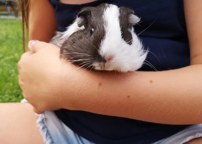 Haus Benedikt Apartment Heiligenblut